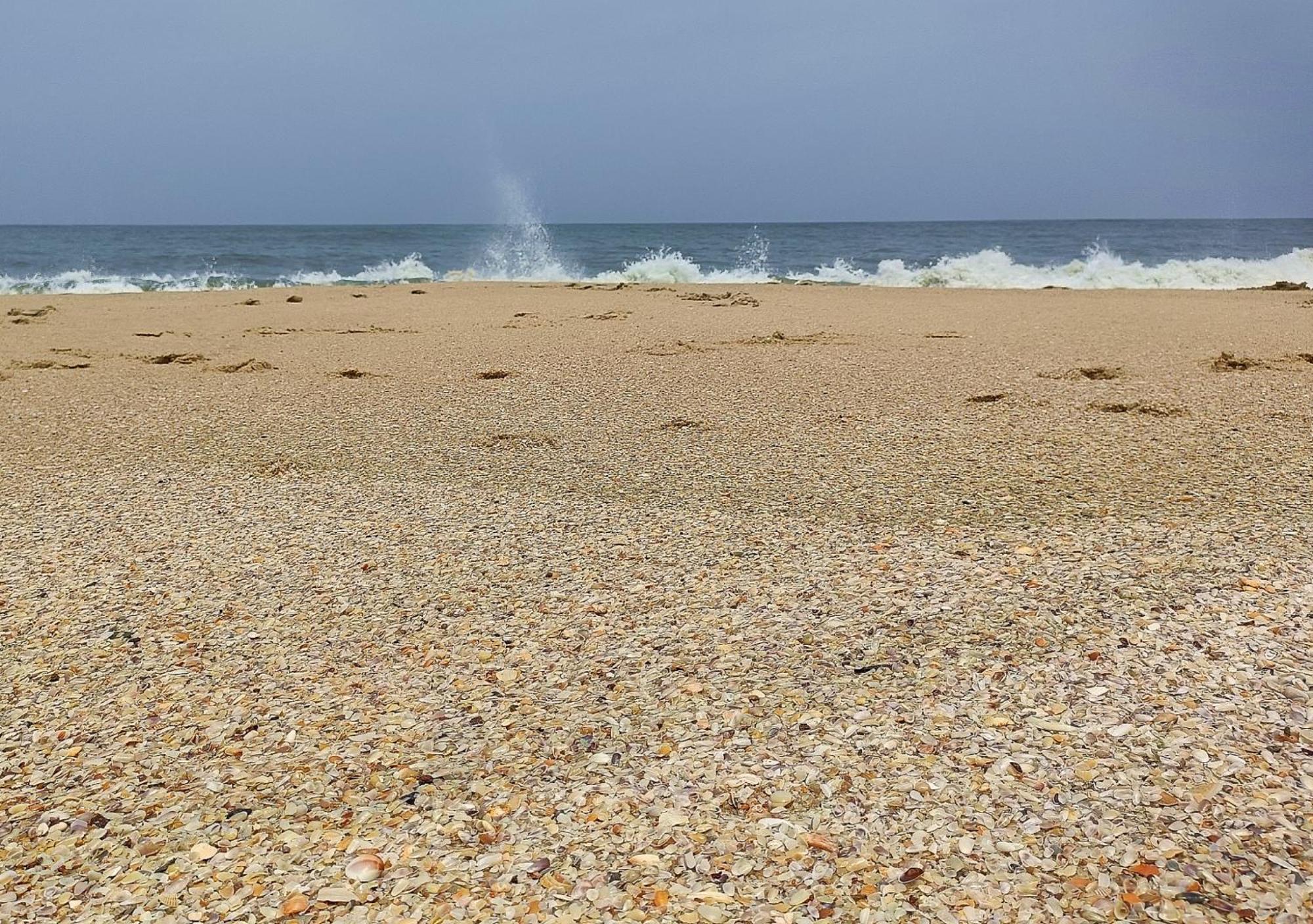 Marari Beach Cleetus Homestay มาราริคุลาม ภายนอก รูปภาพ
